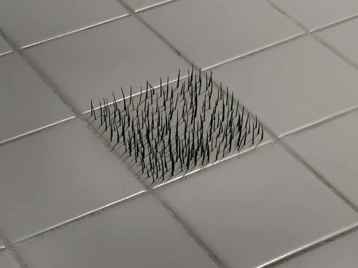 展览
