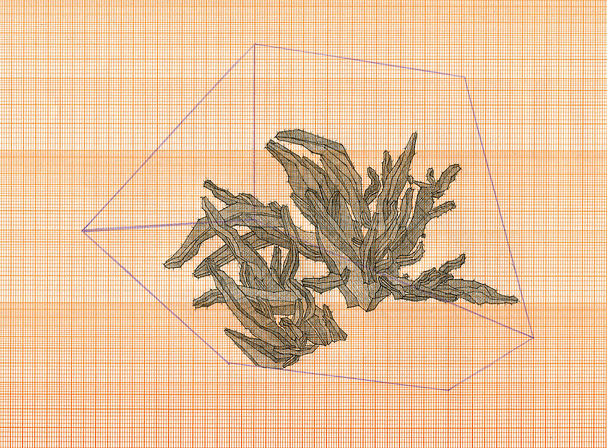 绘画